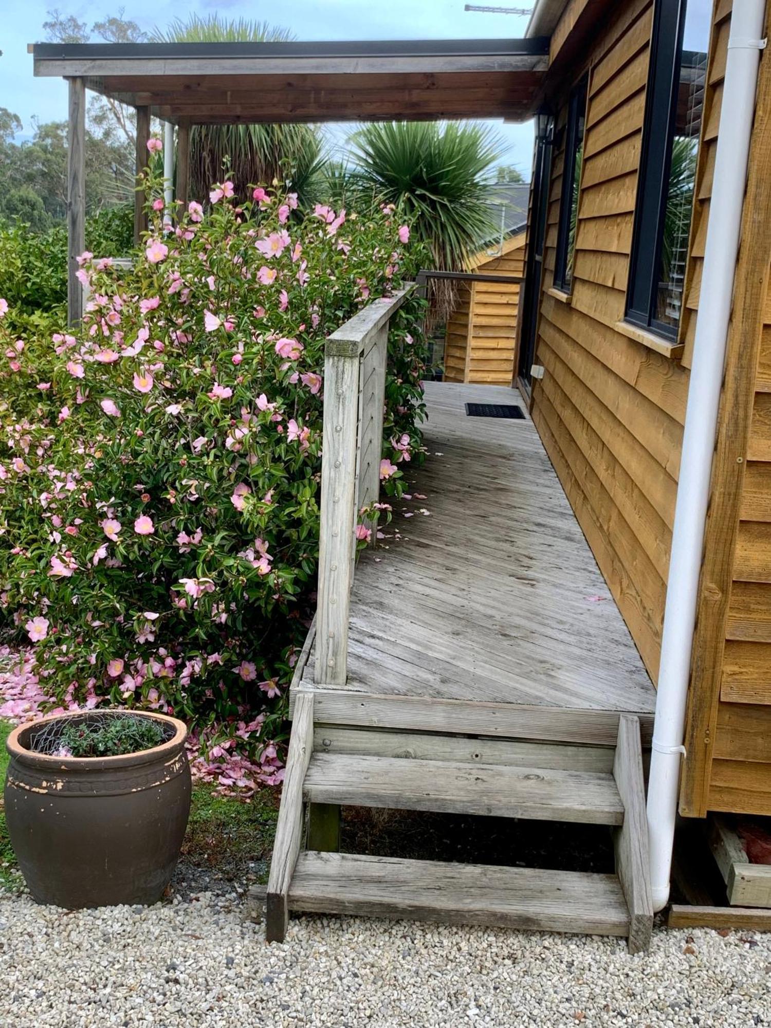 Hazelcreek Cottages Exeter Екстериор снимка